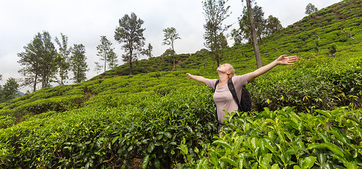 Image showing Active caucasian blonde woman enjoing fresh air and pristine nature while tracking among tea plantaitons near Ella, Sri Lanka. Bacpecking outdoors tourist adventure