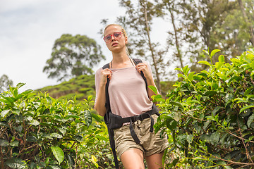 Image showing Active caucasian blonde woman enjoing fresh air and pristine nature while tracking among tea plantaitons near Ella, Sri Lanka. Bacpecking outdoors tourist adventure