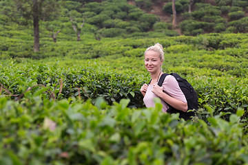 Image showing Active caucasian blonde woman enjoing fresh air and pristine nature while tracking among tea plantaitons near Ella, Sri Lanka. Bacpecking outdoors tourist adventure