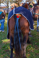 Image showing Warngau, Germany, Bavaria 27.10.2019: Rider at the Leonhardifahrt Warngau