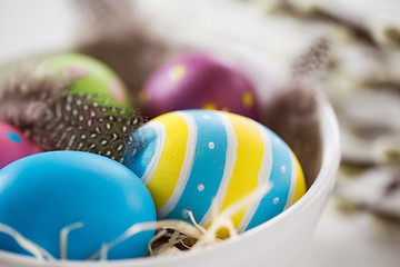 Image showing close up of colored eggs and feathers in bowl