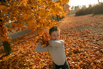 Image showing Boy in Autumn Park