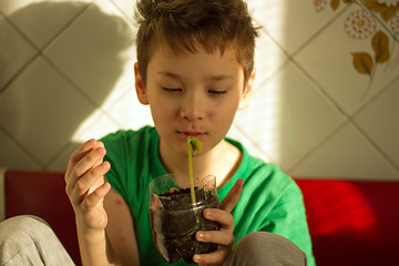 Image showing Boy with chickenpox grow plant