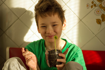 Image showing Boy with chickenpox grow plant