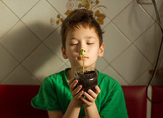 Image showing Boy with chickenpox grow plant