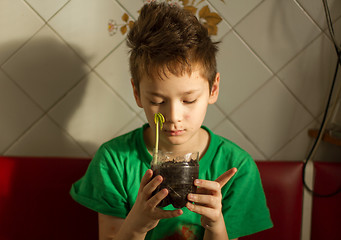 Image showing Boy with chickenpox grow plant