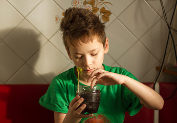 Image showing Boy with chickenpox grow plant