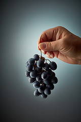 Image showing bunch of grapes