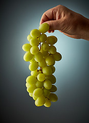 Image showing bunch of grapes