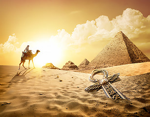 Image showing Camel near pyramids