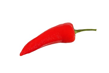 Image showing Chili pepper on white