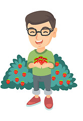 Image showing Caucasian boy holding fresh strawberries in hands.