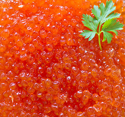 Image showing red salmon caviar