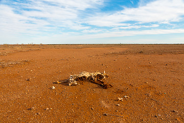 Image showing Drought in Australia