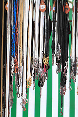 Image showing dog leash collection