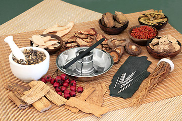 Image showing Traditional Chinese Herbal Therapy