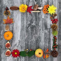 Image showing Autumn Border Composition