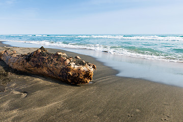 Image showing Beautiful sea, the black sandy beach and big old log