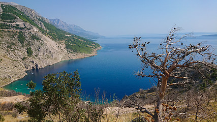 Image showing Rocky beach, bue transparent sea