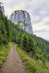 Image showing Beautiful hiking trail after rain