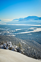 Image showing Fresh Snow on Mount Swansea British Columbia Canada