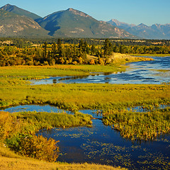 Image showing The Columbia Wetlands in Fall or Autumn