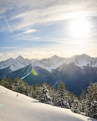 Image showing Summit of Sulphur Mountain with sun flare