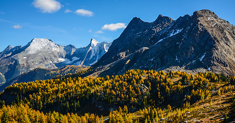 Image showing Jumbo Pass British Columbia Canada in Fall with Larch