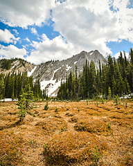 Image showing Bumpy Meadows Mount Aeneas British Columbia