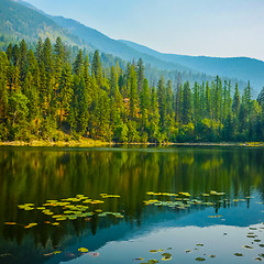 Image showing Canuck Lake Premier Lake Provincial Park British Columbia