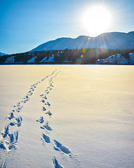 Image showing Foot prints in the snow, winter mountain landscape