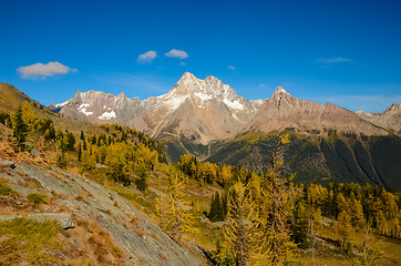 Image showing Fall Larch Jumbo Pass Purcell Mountains