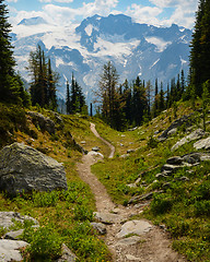 Image showing Jumbo Pass hiking trail, British Columbia, Canada