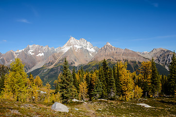 Image showing Jumbo Pass British Columbia Canada in Fall with Larch