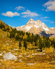 Image showing Fall Larch Mountain Landscape