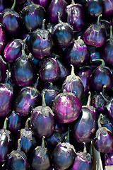 Image showing Egg-plant background vertical