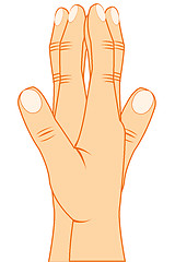 Image showing Vector illustration of the hands of the person with built palm gesture