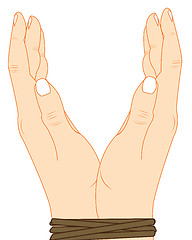 Image showing Hands bound by rope on white background is insulated