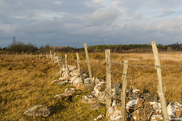 Image showing Old fence with barb wire in a wetland by fall season