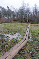 Image showing Wooden footbridge through a wetland