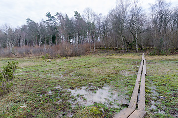 Image showing Planks by the walkway through a wetland