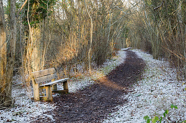 Image showing Bench by a footpath in a forest with the first snow