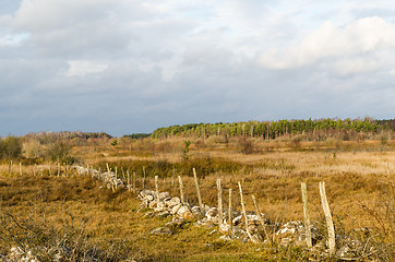 Image showing Fall season view of a marshland