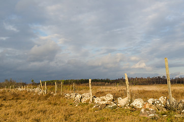 Image showing Old fence in a wetland by fall season