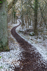 Image showing Winding footpath with the first snow