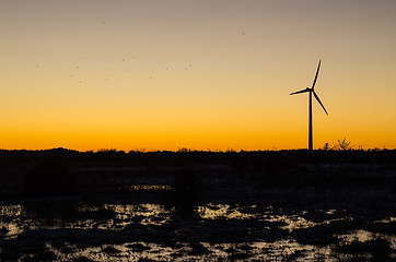 Image showing Sunset with wind turbine and flying birds