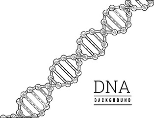 Image showing DNA structure. Deoxyribonucleic acid. Vector illustration on white