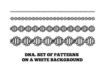 Image showing DNA structure. Deoxyribonucleic acid. Vector illustration on white