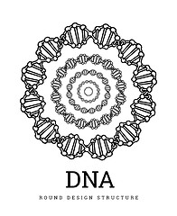 Image showing DNA structure. Deoxyribonucleic acid. Vector illustration on white