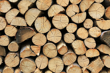 Image showing Firewood pile stacked chopped wood trunks